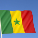Senegal Flag flying