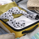 packing for trip